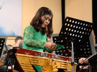 Cần sớm xác lập quyền sở hữu đàn bầu của người Việt