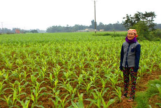 Chăm lo Tết  cho người nghèo vùng rốn lũ