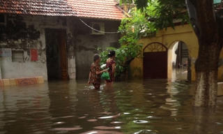 Tiếng kêu từ đình làng Vạn Phúc