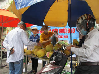 Chung tay ‘giải cứu’ bưởi đào đặc sản Đồng Nai