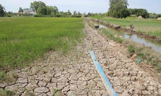 Tìm giải pháp cấp bách phòng chống hạn, mặn