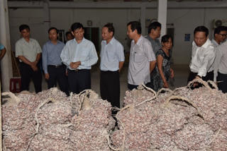 Bệnh mắt do hành tím: Dự phòng và điều trị được