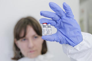 COVAX chuẩn bị bàn giao vaccine ngừa Covid-19 cho các quốc gia