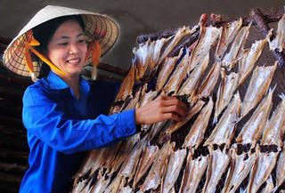 Đầu tư 1 triệu USD để giảm thiểu tác động của biến đổi khí hậu tại Đồng Hới