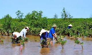 Khởi nghiệp sáng tạo ứng phó với biến đổi khí hậu