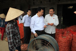 Xây dựng nông thôn mới không chạy theo thành tích