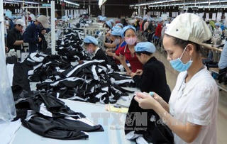 Hơn 70% lao động ngoại tỉnh trở lại làm việc
