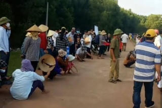 Hàng trăm hộ dân tố trại lợn làm ô nhiễm nguồn nước