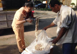 Xe ôtô vận chuyển 1,6 tấn nội tạng động vật bốc mùi hôi thối