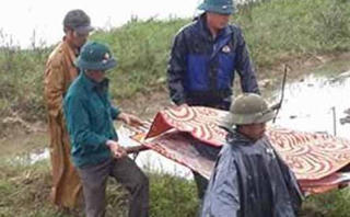 Đang cày ruộng, người đàn ông bị điện giật tử vong