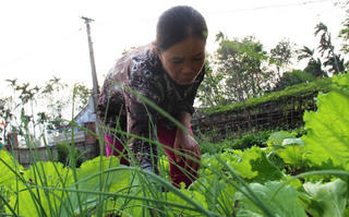 Nỗi buồn lương hưu