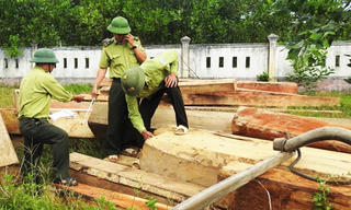 Vĩnh Linh, Quảng Trị: 10.000 ha rừng bị phá