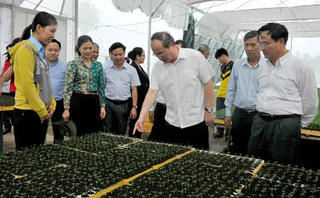 Chủ tịch Nguyễn Thiện Nhân tham quan mô hình HTX Nông nghiệp Tân Bình