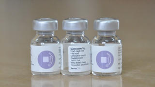 Đã có 15.000 liều vaccine dịch vụ 5 trong 1
