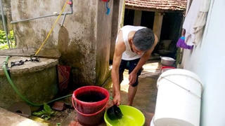 Điêu đứng vì nước ô nhiễm