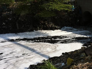 Ô nhiễm kênh rạch ngoại thành TP Hồ Chí Minh: Truy tìm thủ phạm