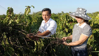 Đắk Nông: 14,9 tỉ đồng cứu hạn chưa tới tay người dân