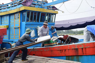 Ngư dân Quảng Ngãi ra khơi đầu năm mới