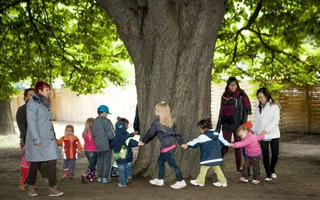 Nhà trẻ tại Berlin mang tên 'Bên gốc cây hạt dẻ cổ'