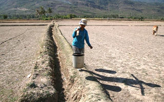 Khốc liệt hạn hán