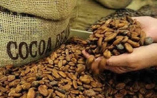 Đề nghị Ấn Độ bãi bỏ việc tạm dừng nhập khẩu một số mặt hàng của Việt Nam