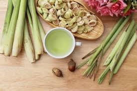 Công dụng tuyệt vời của cây sả