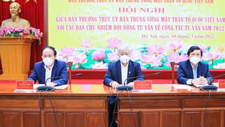 Đổi mới, nâng cao chất lượng và hiệu quả hoạt động của các Hội đồng Tư vấn