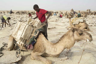 Sinh tồn ở Dallol