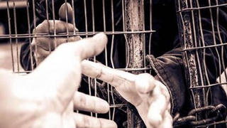 Chile triệt phá đường dây buôn người