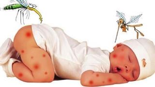 Đà Nẵng: Số ca bệnh sốt xuất huyết tăng nhanh