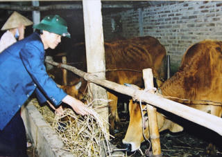 Hướng tới Kỷ niệm 70 năm Ngày Thương binh- Liệt sĩ: Anh hùng không chỉ một thời...