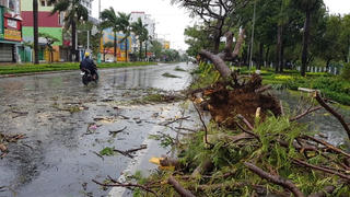 Clip: Sự tàn phá kinh khủng của cơn bão số 9