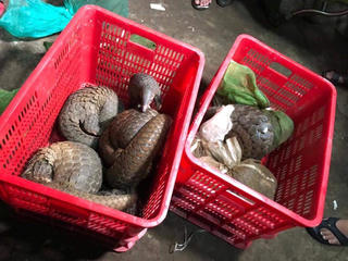 Hãi hùng đặc sản vùng ven