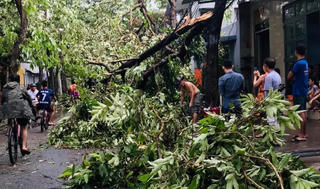 Bão số 5 tàn phá 22.000 ngôi nhà, làm 3 người tử vong