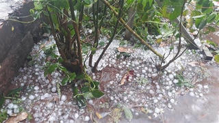 Các trận mưa đá bất ngờ xuất hiện liên tiếp tại tỉnh Điện Biên