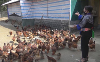 Đảng viên tiên phong ở xã vùng cao