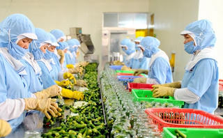 Kẽ hở văn bản: Doanh nghiệp rủi ro