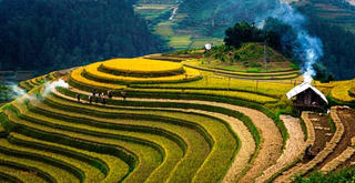 [ẢNH] : Vẻ đẹp ruộng bậc thang