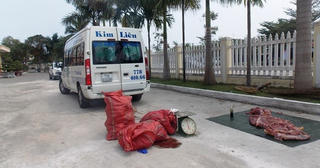 Gần 3 tạ thịt heo ‘không nguồn gốc’ đi xe khách