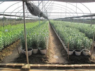 Quảng Ninh: Nâng cao năng lực quản lý chất lượng, ATTP nông lâm thủy sản