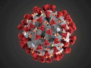 Giới khoa học phát hiện 'gót chân Achilles của virus SARS-CoV-2'