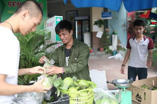 Nghệ thuật không phải trò đùa