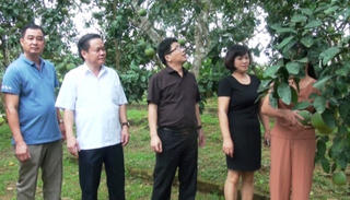 Tăng cường giám sát  an toàn vệ sinh thực phẩm