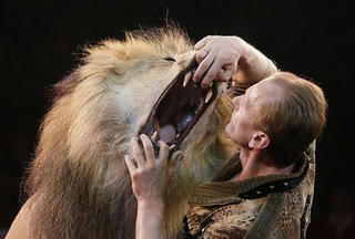 Sư tử tấn công 'vua dạy thú'