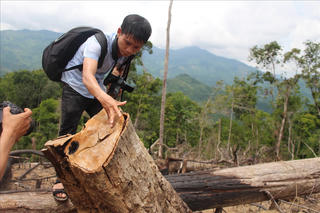 Vụ ‘Tan hoan rừng phòng hộ’: Đề nghị Công an tỉnh vào cuộc tìm ra kẻ chủ mưu, xứ lý án điểm