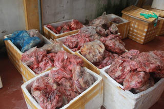 Thu hơn 2 tấn thịt động vật đã bốc mùi hôi thối