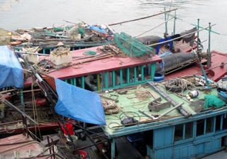 Phát hiện nhiều tàu khai thác thủy sản hủy diệt môi trường biển