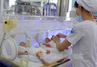 Trên 19.000 trẻ chào đời trong dịp Tết Mậu Tuất 2018