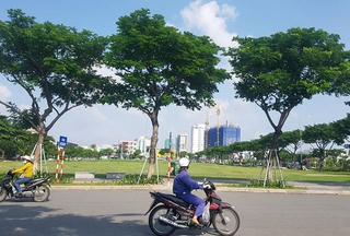 Đà Nẵng sẽ đấu giá lại đất đã bị hủy kết quả trúng đấu giá