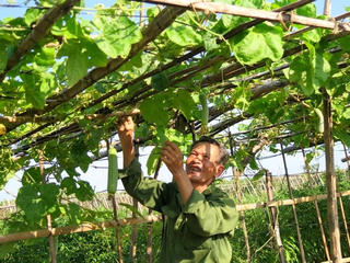 Huyện Đức Thọ nỗ lực về đích Nông thôn mới